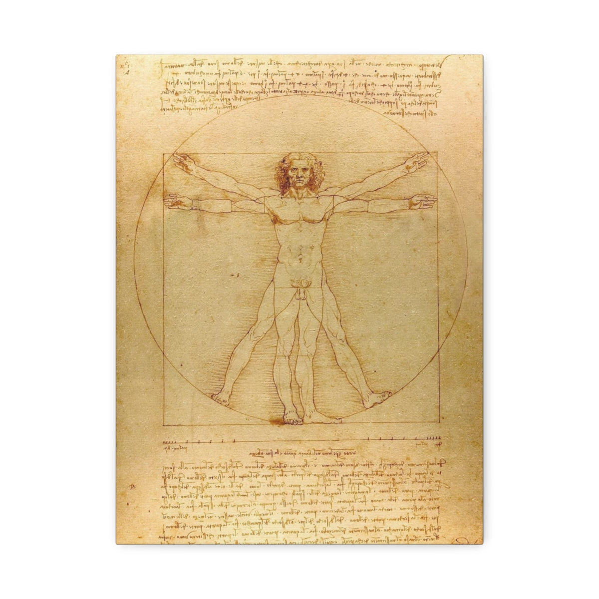Leonardo da Vinci's Vitruvian Man (circa 1492) Satin Canvas, Stretched