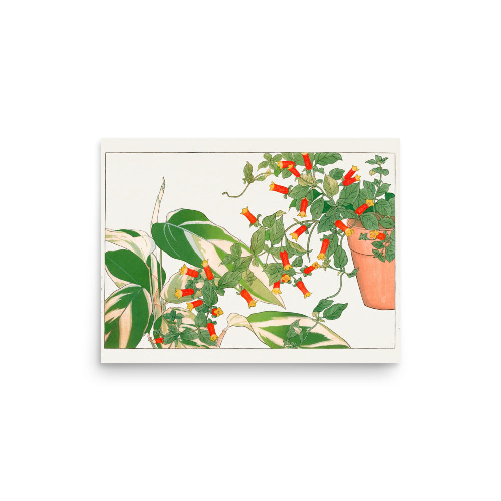 Maranta & Manettia Flower, Japanese Woodblock Art Reproduction Poster