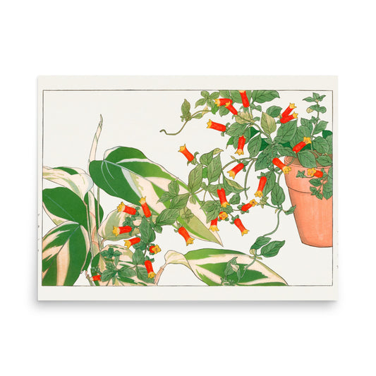 Maranta & Manettia Flower, Japanese Woodblock Art Reproduction Poster